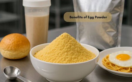 Buying in Bulk: Best Egg Powder Supplier for Your Business