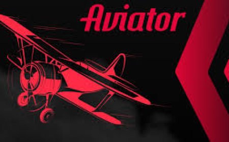 Understanding Bonuses in Colour and Aviator Games