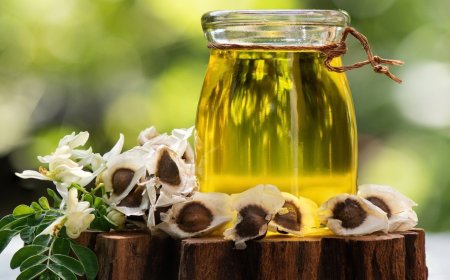 Guide to Setting Up a Moringa Oil Processing Plant: Cost Analysis