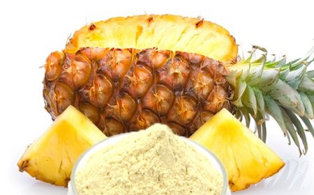 Capital Costs Involved in Setting Up a Bromelain Enzyme Manufacturing Plant