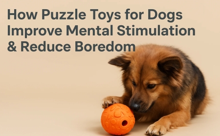 How Puzzle Toys for Dogs Improve Mental Stimulation & Reduce Boredom