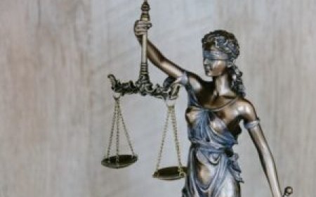 Florida Attorneys: Your Guide to Finding the Right Lawyer in Florida