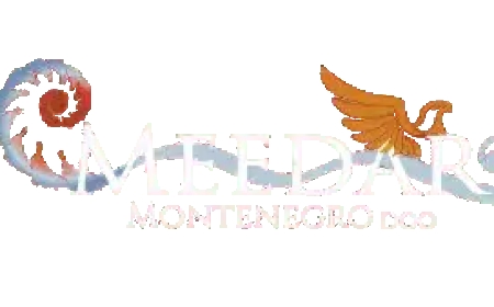 Discover the Ultimate Coastal Experience in Montenegro with Meedar