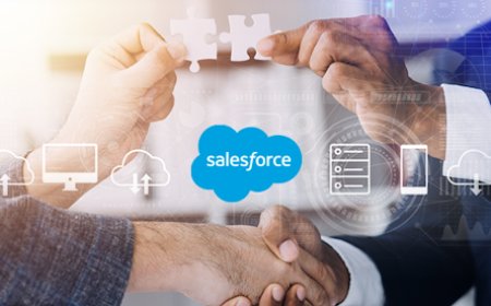 Expert Tips to Master Salesforce Customization Quickly