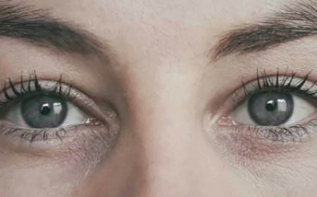 Why Are Lash Lifts Becoming Popular in Portland Beauty Salons?