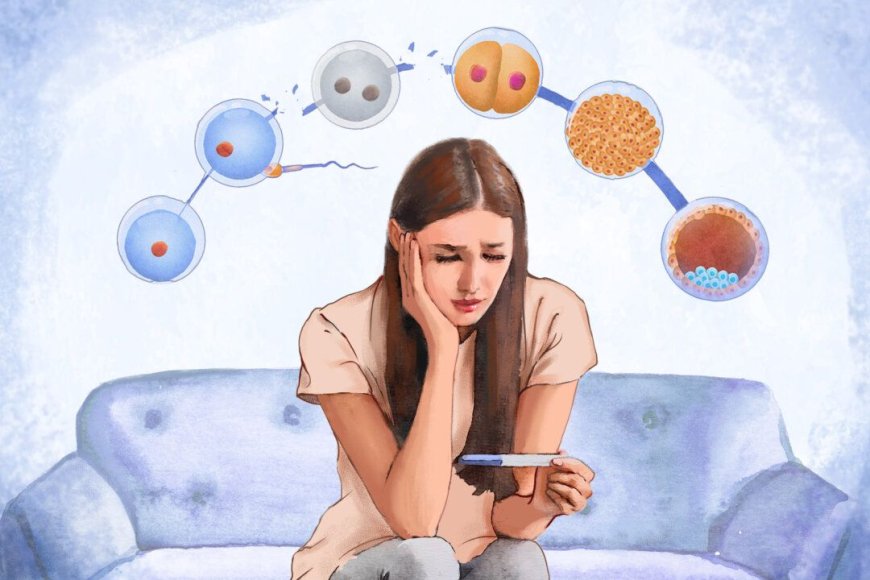 Female Infertility: Causes, Symptoms, Diagnosis & Treatment