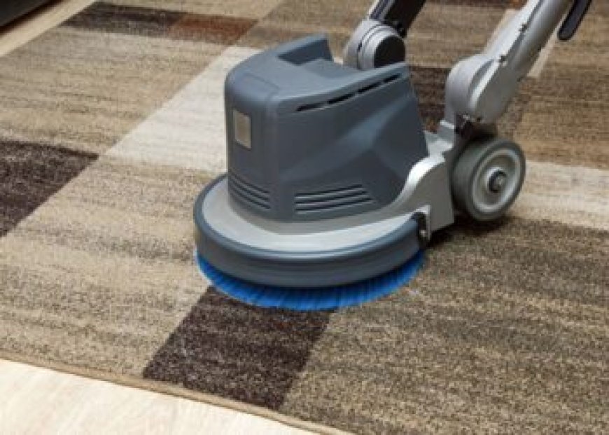 Why Carpet Cleaning is Key to Better Indoor Air Quality
