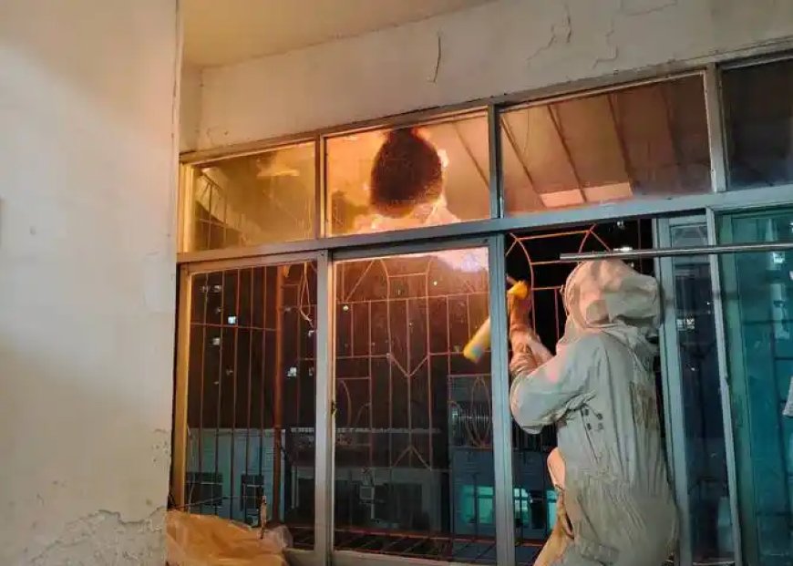 殺蟲水如何安全使用？家庭與寵物適用的選擇指南