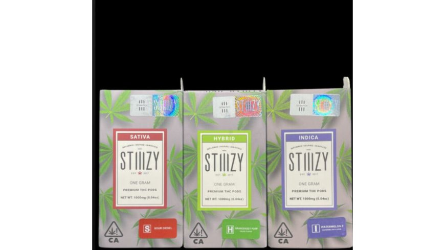 A Beginner’s Guide to Maryland Cannabis Delivery Services