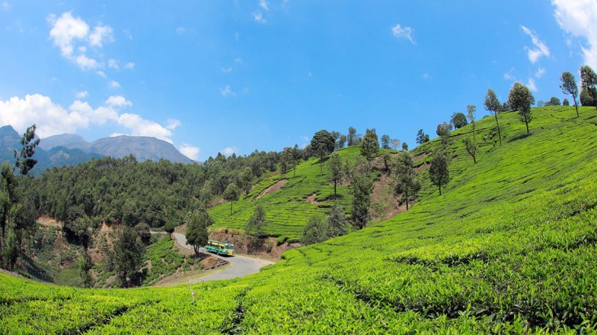 Explore Nature’s Beauty with Exclusive Munnar Tour Packages