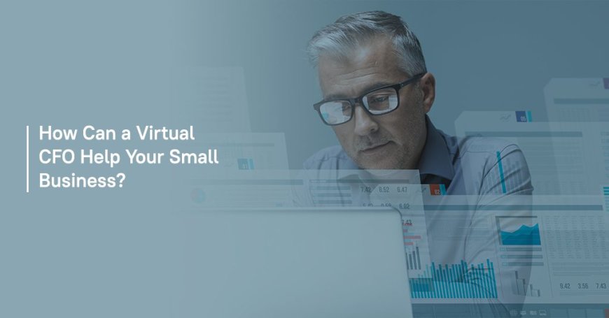Unlocking Growth Potential: Virtual CFO Solutions for Small Business Success