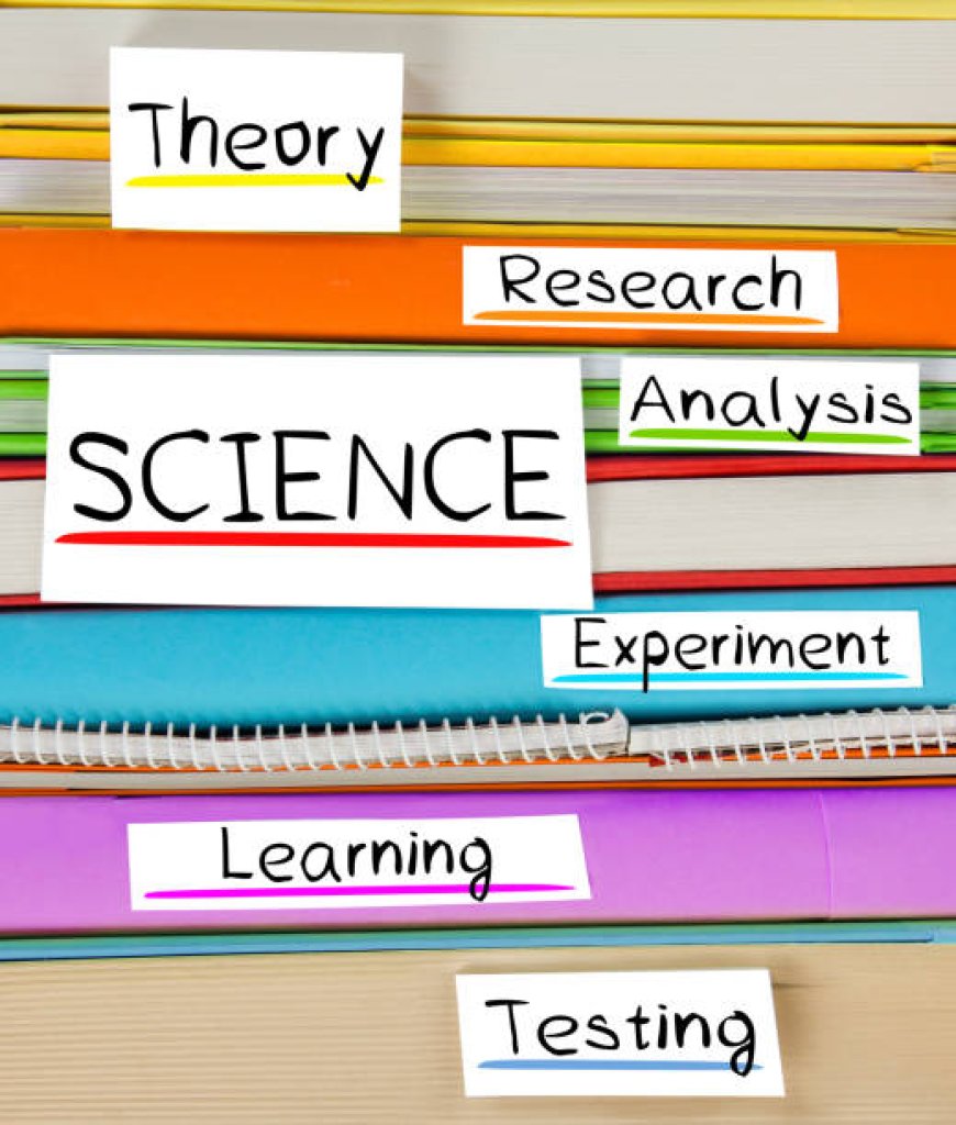 What Sets Top Coursework Writing Companies Apart