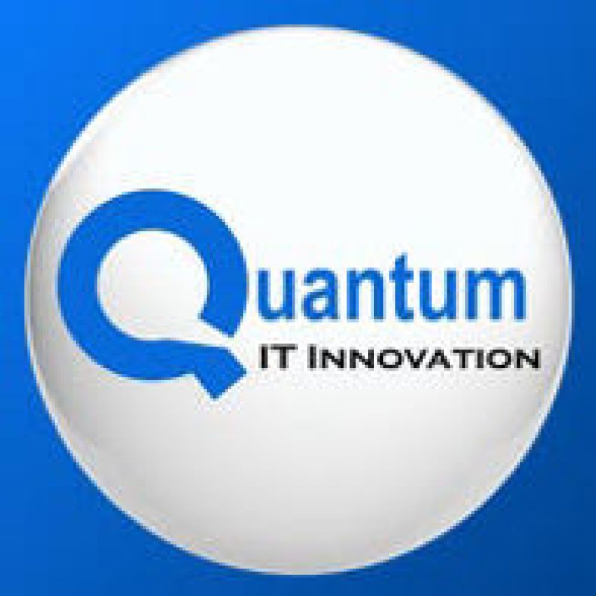 Quantum IT Innovation: Leading the Future of Custom Web Development