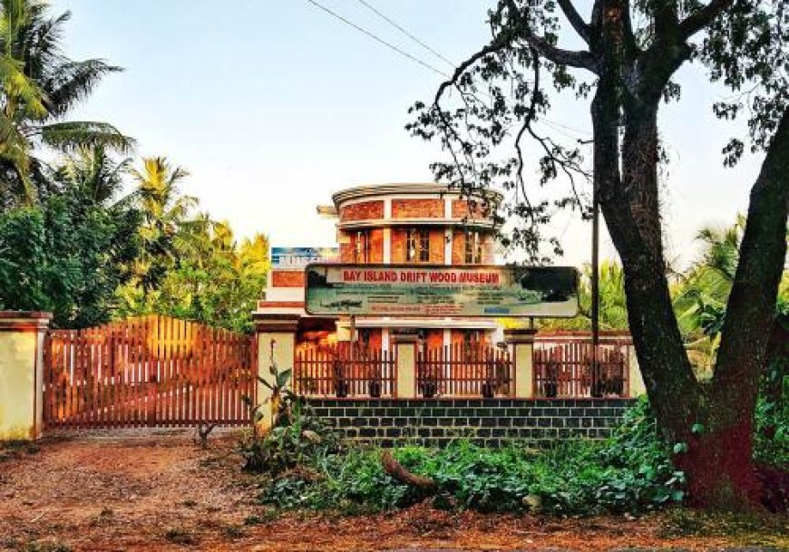 Bay Island Driftwood Museum: A Living Tribute to Nature in the Heart of Kottayam