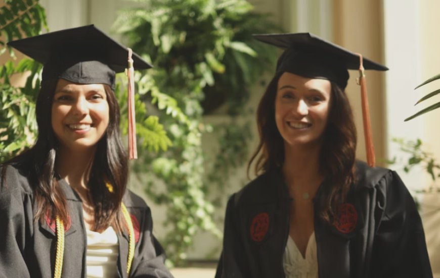 Site‑uri pentru licență: cum găsești resurse online de încredere pentru lucrarea de licență