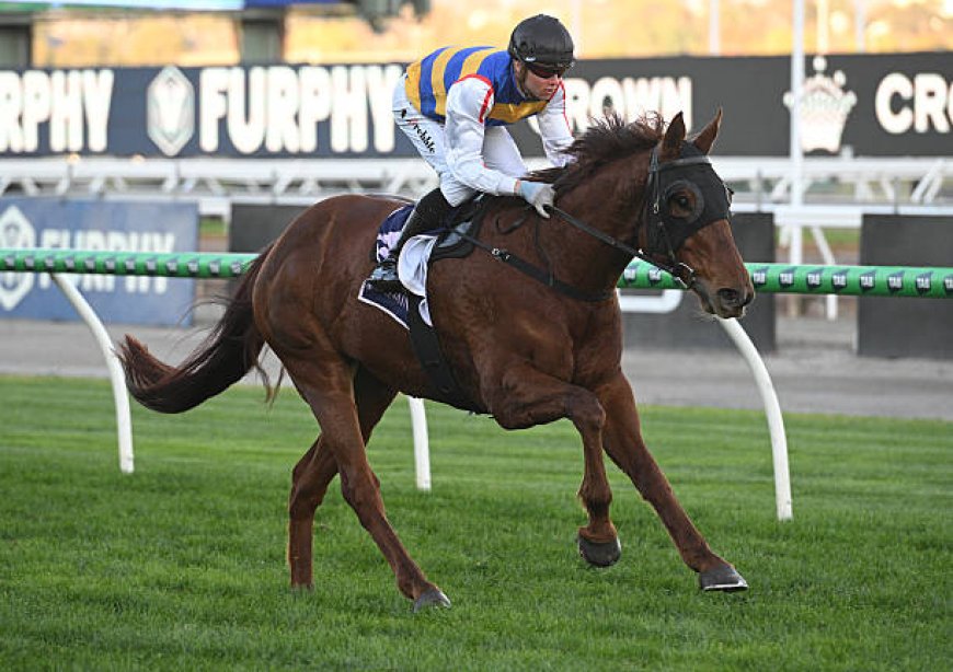 A Comprehensive Guide to the Best Aussie Betting Sites