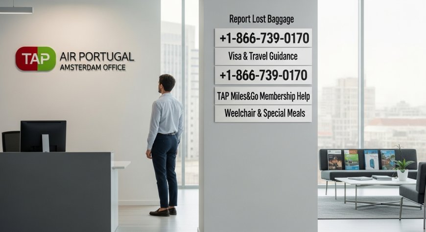 How to Reach TAP Air Portugal Amsterdam Office in Netherlands +1.866.739.0170