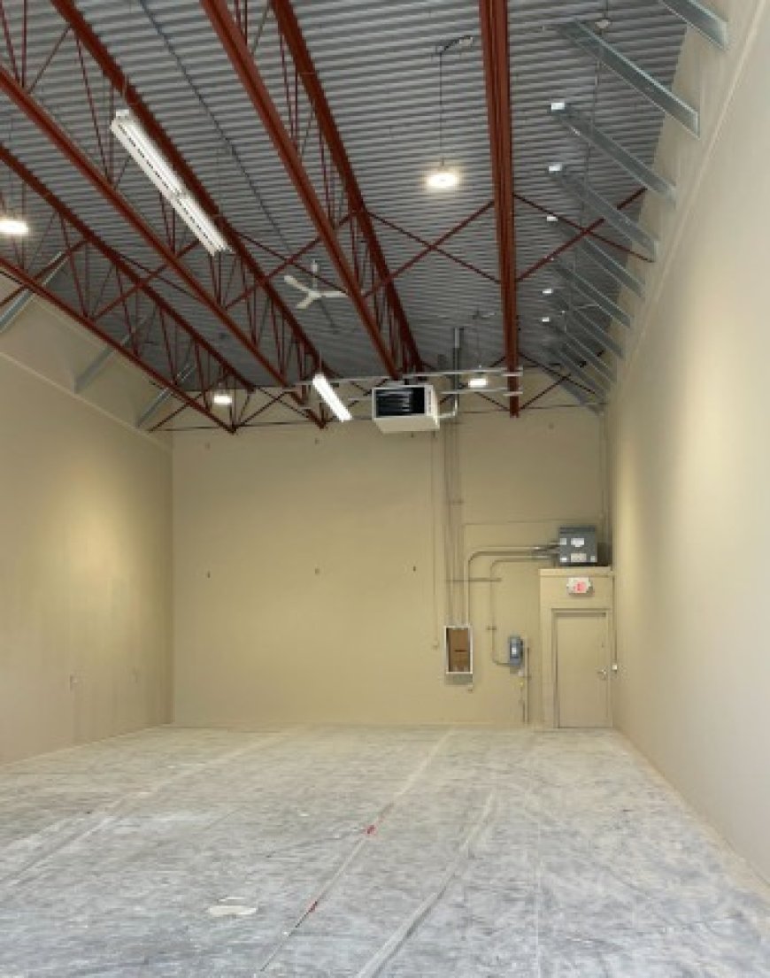 Your Guide To Choosing The Best House Painters In Abbotsford