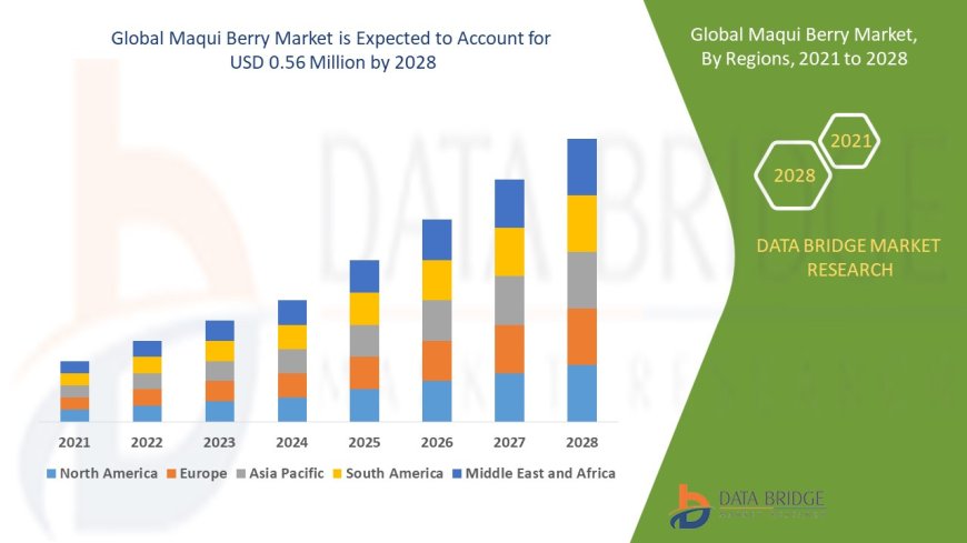 Global Maqui Berry Market – Industry Trends and Forecast to 2028