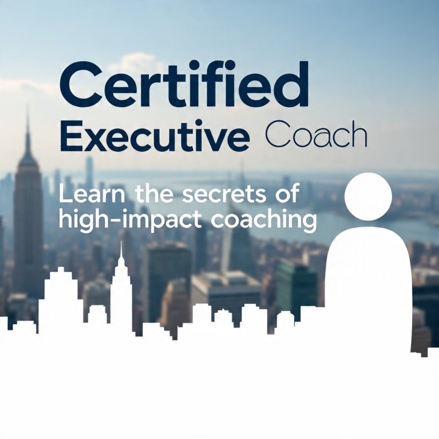 What Is a Certified Executive Coach and Why Is It That Very Useful?