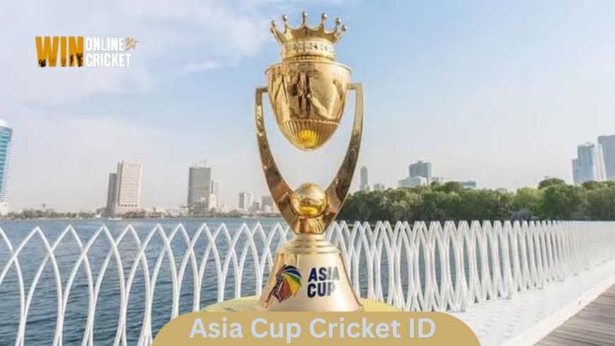 Get Your Online Cricket Bet ID With Win Online Cricket Bet