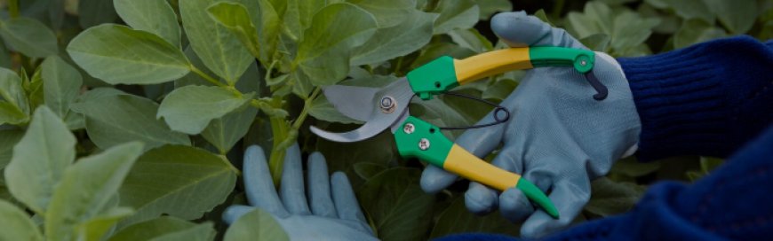 Landscaping Trends for Toronto Commercial Spaces in 2025