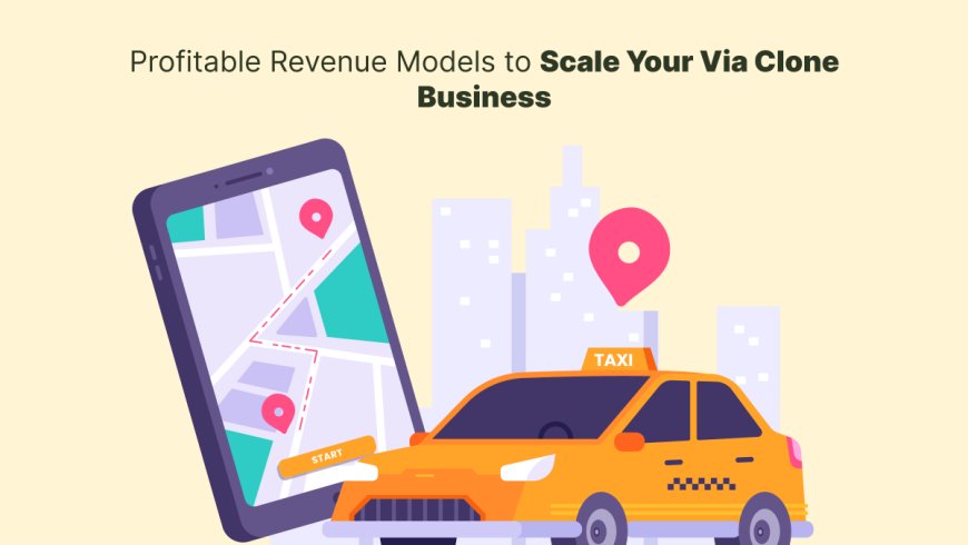 Profitable Revenue Models to Scale Your Via Clone Business