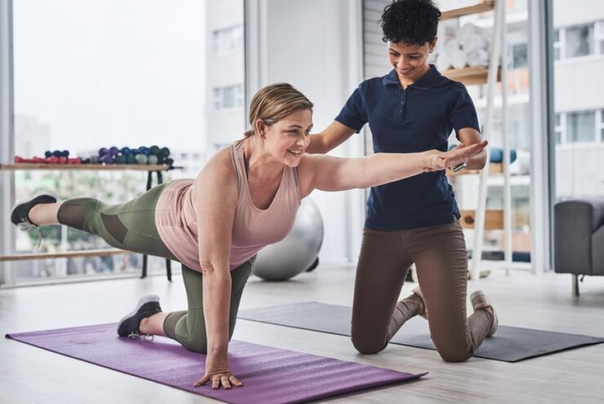 Professional Assisted Stretching for Better Mobility