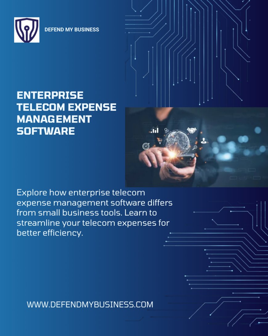 Enterprise Telecom Expense Management Software vs. Small Business Tools: Key Differences.