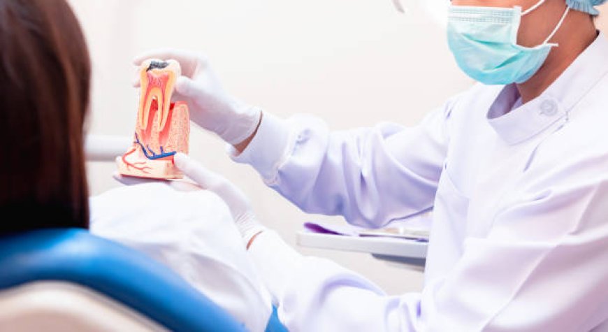 Root Canal Therapy Explained: Pain Relief and Tooth Preservation