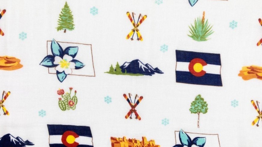 Top California Swaddle Blankets Every Parent Will Love