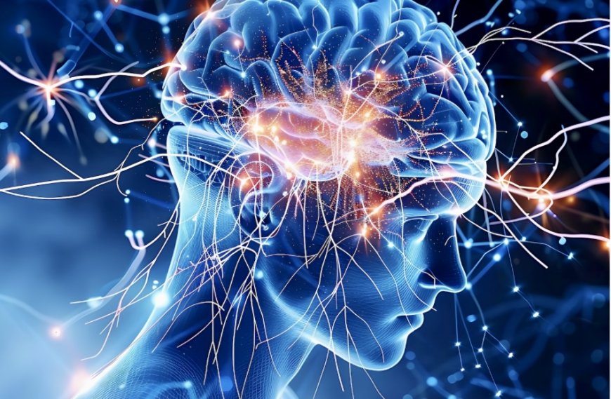 How Ibogaine Treatment Helps Improve Traumatic Brain Injury (TBI) Symptoms