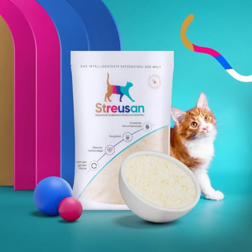 Die richtige Katzenstreu für Ihr Kätzchen finden