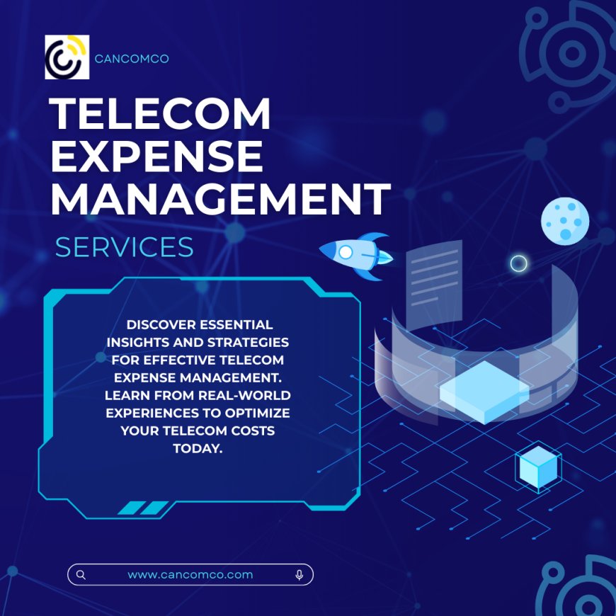 Telecom Expense Management Service: Lessons from the Field.
