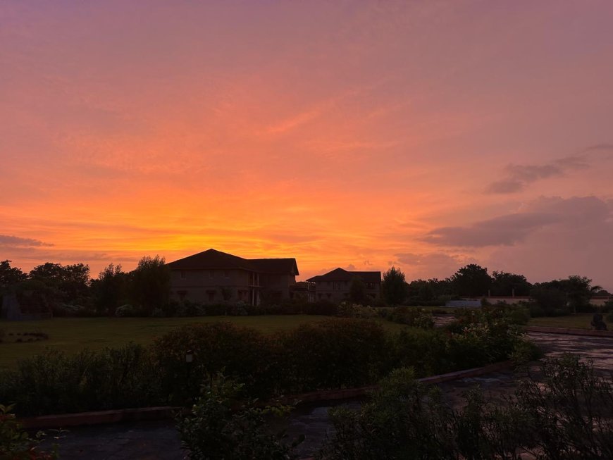 Boost Immunity in Seniors with Holistic Wellness Treatment