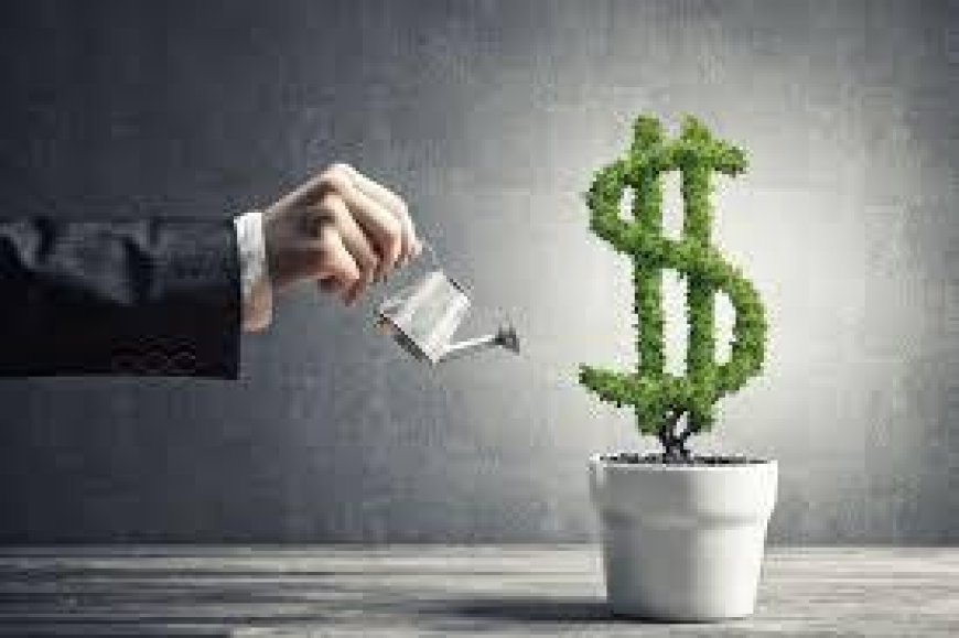 Vape Finance: Understanding Costs and Payment Options in the Vaping World