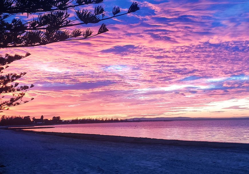 Home Loans in Altona Melbourne: Your Complete Guide to Property Finance