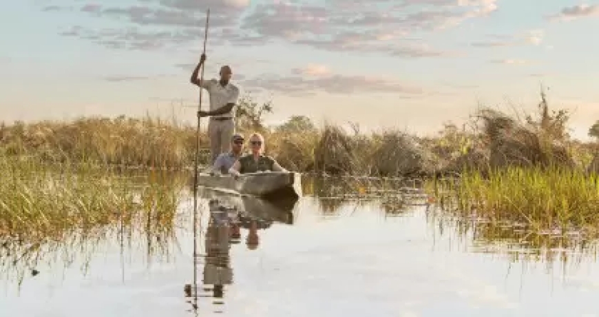 Explore the Wild Wonders: Memorable Tours and Safaris Across Africa