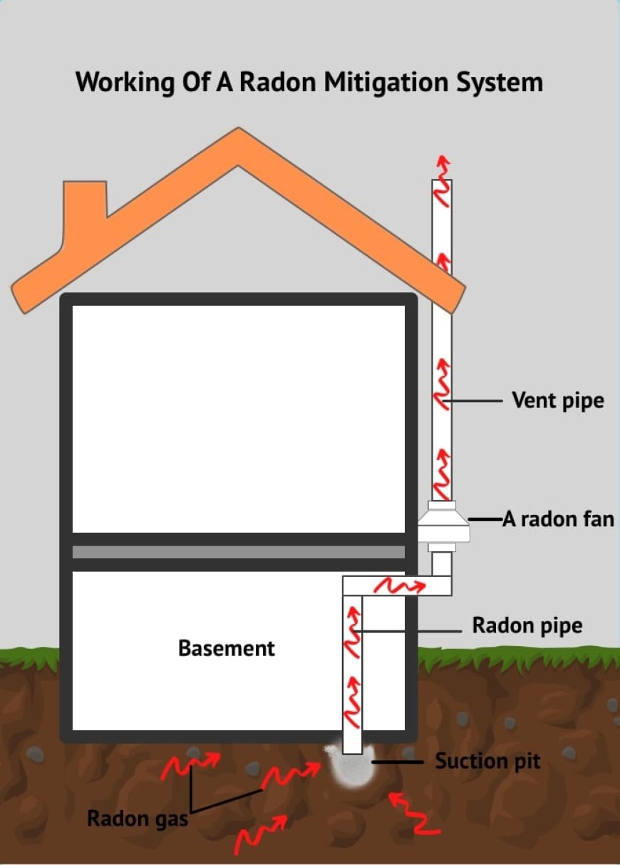 Step-by-Step Guide to Radon Testing & Mitigation Services in Alexandria, VA
