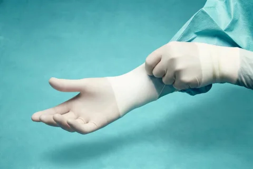Large Surgical Gloves Designed for Clean, Precise, and Safe Procedures
