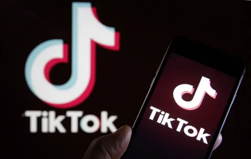 TikTok Advertising Agency That Combines Trends, Ads & Strategy