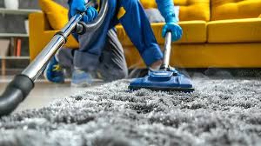 Responsive Carpet Cleaning Services That Show Up On Time