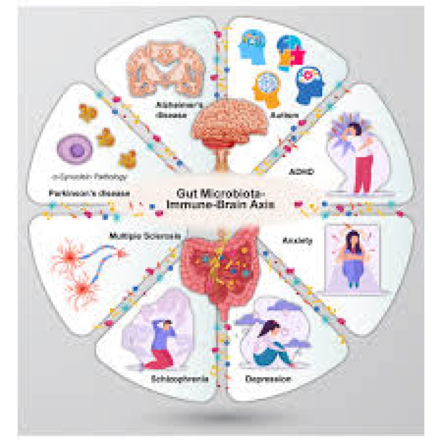 Gut Health and Immunity: The Link Backed by Science