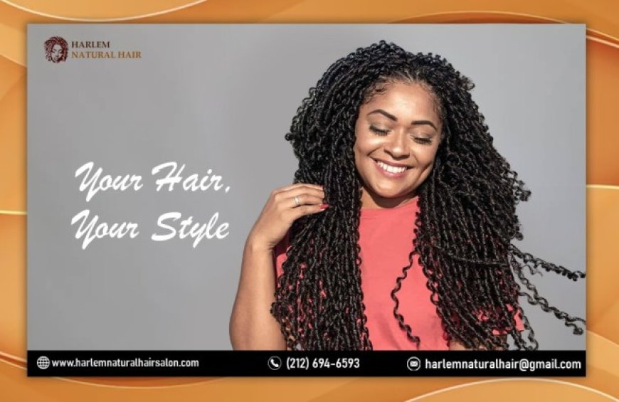 The Art and Elegance of African Hair Braiding Styles