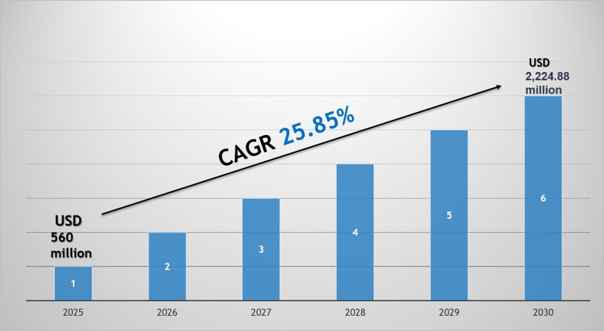 Saudi Arabia Electric Car Market Growth Trends, Volume Insights & Outlook 2030