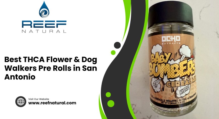 Best THCA Flower & Dog Walkers Pre Rolls in San Antonio