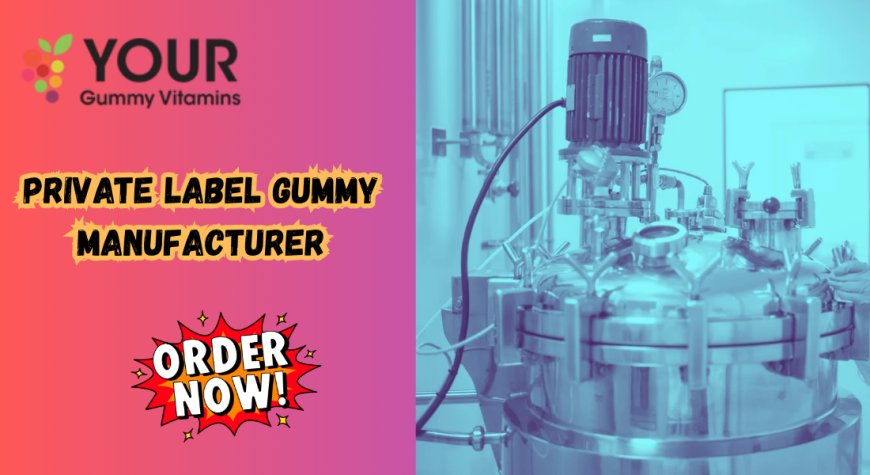 Vitamin Gummy Manufacturer: Your Partner for Custom Supplement Success