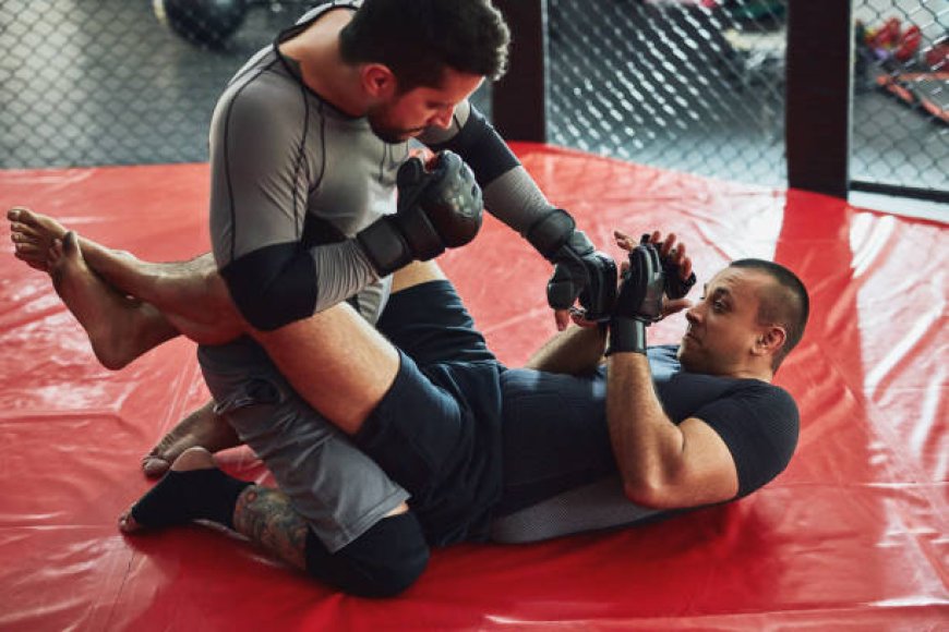 How to Test an MMA School: Questions to Ask About Cost, Schedule & Coaches.