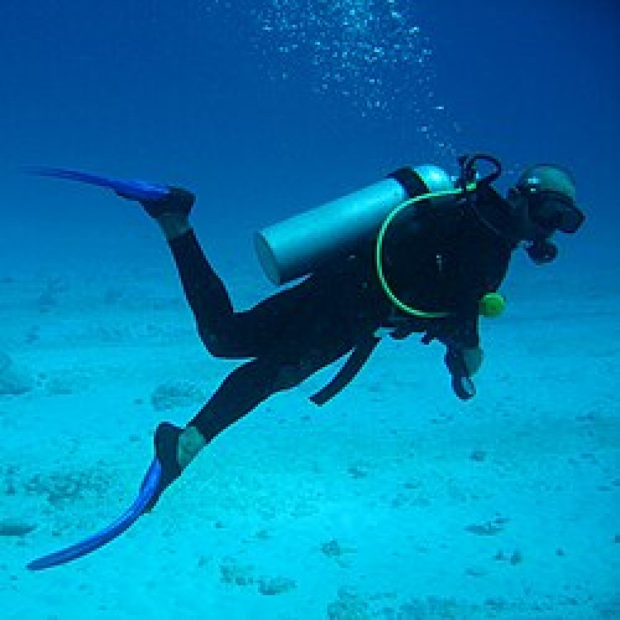 Dive Into the Depths: SCUBA Diving in Dubai