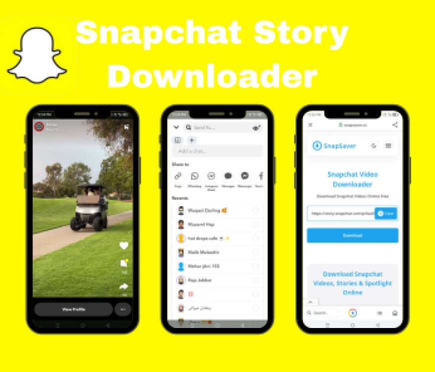 Snapchat Story Downloader for Private & Public Stories